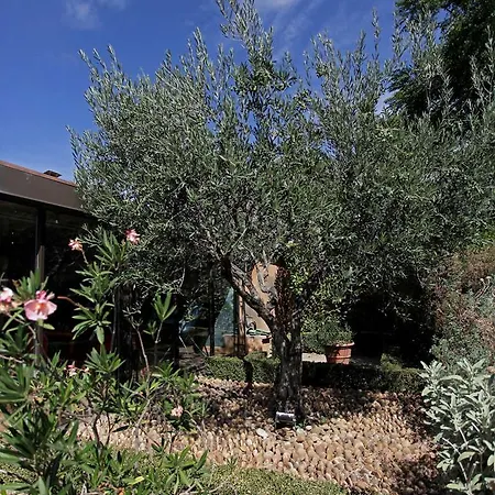Terre De Provence & Hotel Le Pontet (Vaucluse)