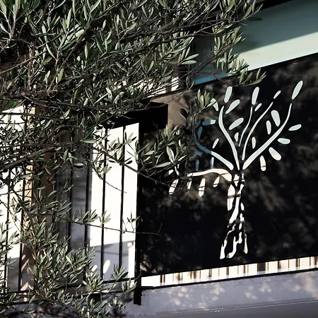 Hotel Terre De Provence &